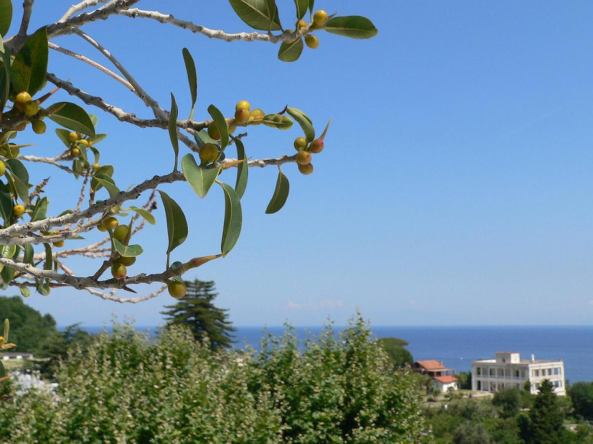 Casamicciola Terme Hotel La Maggioressa מראה חיצוני תמונה