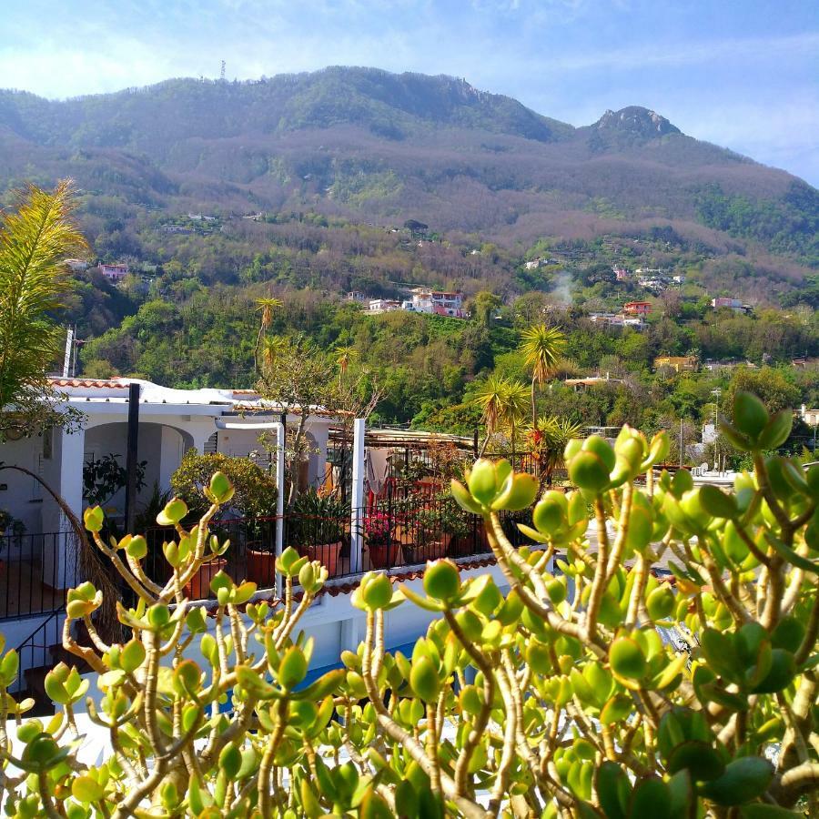 Casamicciola Terme Hotel La Maggioressa מראה חיצוני תמונה